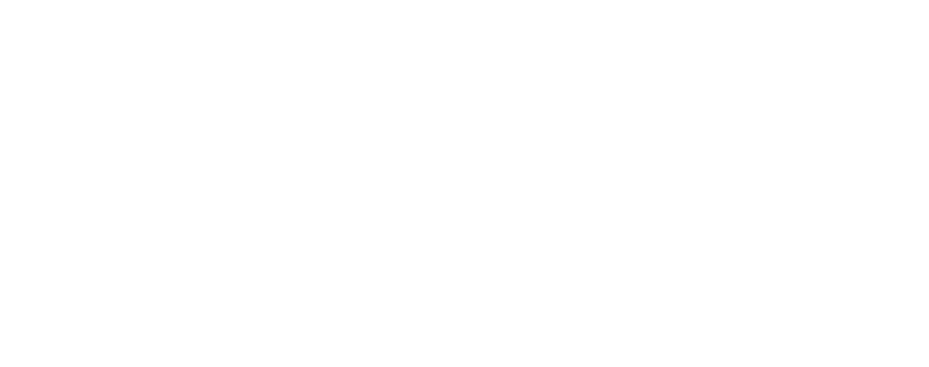 Stockport Automotive Group logo